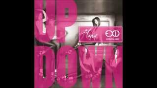 EXID UP amp DOWN AUDIO [upl. by Yelwah562]