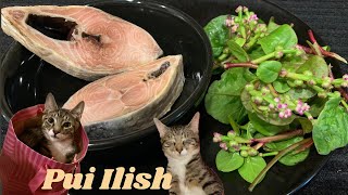 Vlog where I Ate Mexican Lunch  Ilish Macher New Recipe With Pui Shak  Chiku Our Cat❤️ [upl. by Aloise]