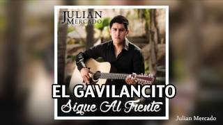 05 Julian Mercado  El Gavilancito 2014 [upl. by Elisee]