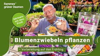 Blumenzwiebeln pflanzen – Vorbereitung auf den Frühling [upl. by Ettinger]