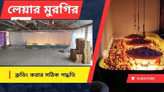 অনেক বড় একটা খামার নিলাম। এই খামারের কাজ গুলো দেখেন। সঠিক নিয়ম এ ব্রুডিং করার পদ্ধতি। [upl. by Nnairam]