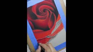 Como usar Oleo Pastel  Una rosa  art drawing oilpastel [upl. by Valaria]