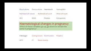 An MRCOG sortout lesson Haematological changes in pregnancy [upl. by Hilaire426]