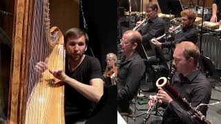 Mark Andre  quothinquot for harp and chamber orchestra 2018 [upl. by Tillio177]