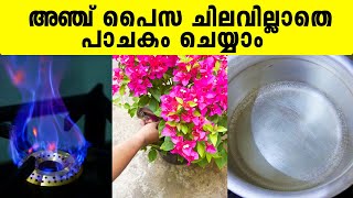 അഞ്ച് പൈസ ചിലവില്ലാതെ പാചകം ചെയ്യാം  BIO GAS  Iype Vallikadan  Bio Gas Plant  Mavelikara [upl. by Matilda]