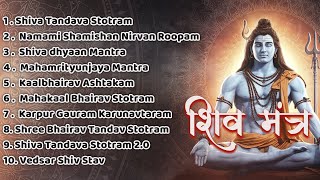 Unleash Divine Power Lord Shiva Songs Stotram Collection [upl. by Ayanad]