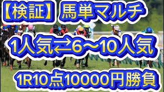 【競馬検証】1番人気⇄6〜10人気馬単マルチ各1000円ずつ勝負したら、儲かるのか！？ [upl. by Can]