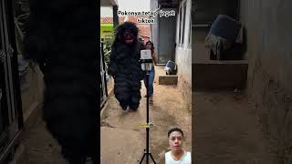 joget tiktok jogettiktok videolucu viralvideo videoshort [upl. by Lietman]