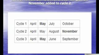 Stock Options Expiration Cycles [upl. by Diantha]