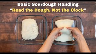 Basic Sourdough Handling  “Read the Dough Not the Clock” [upl. by Archambault]