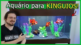 Como Montar Aquário de KINGUIOS para INICIANTES  Aquário 300 Litros [upl. by Yesdnil]