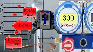 R404A Pressure Explained in Home Fridges Key Parts Functions and Troubleshooting Tips [upl. by Luapnaej]