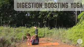 Yoga digestion boosting routine Metabolic Rush open level [upl. by Ahtoelc]