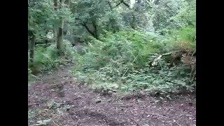 MTB Downhill The Wrekin Shropshire England [upl. by Maltz689]