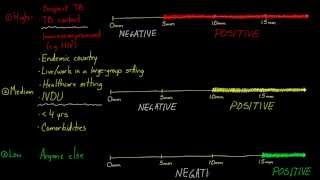 Reading the PPD [upl. by Nilhsa]