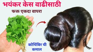 10 पटीने केस वाढतील आणि मऊ व दाट होतील 😱 kitchen tips  takau pasun tikau vastu  tadka  hair care [upl. by Aeduj]