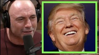 Joe Rogan  Why Donald Trump is Untouchable [upl. by Odama]