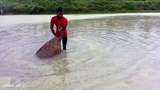 হঠাৎ একটি বড় মাছ এসে ধরা দিল  Fish catching video 2024 [upl. by Lizzy]