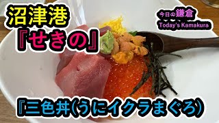 沼津港の行列店『せきの』で三色丼うにイクラまぐろ【今日の鎌倉】 [upl. by Kipper756]