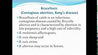 Brucellosis ppt [upl. by Pomeroy]