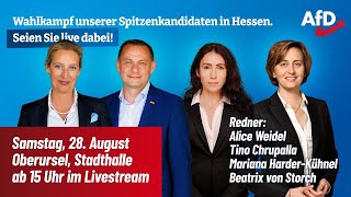 AfDWahlkampf live in Oberursel ua mit Alice Weidel und Tino Chrupalla [upl. by Darbee478]