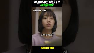 쥐 잡아주는 덕선이 마냥 귀여운 택이 응답하라1988 [upl. by Haliak]