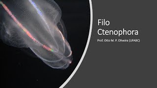 Zoologia  Filo Ctenophora [upl. by Teerprug946]