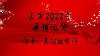 壬寅2022年属猪运势 [upl. by Cornie]