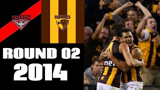 Essendon VS Hawthorn  Round 2 2014  Match Highlights [upl. by Derk]