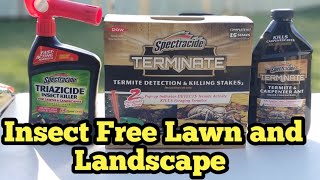 Do This Now  Kill Ants Fleas Termites Ticks How To Use Spectracide Triazicide Termite Detection [upl. by Nyrak]