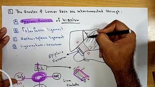 Abdomen MCQs for Revision، Part I By Ahmed Belhaj [upl. by Noelle]