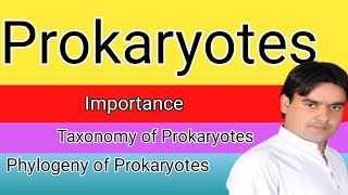 Prokaryotes introduction taxanomy and phylogenyprokaryotes [upl. by Lambrecht151]