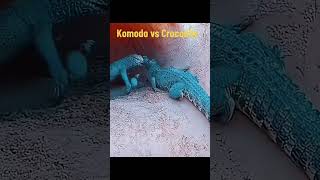 crocodilo vs dragão de komodo lastbreath wildlife animals brutal hunting attack komodo [upl. by Kant]