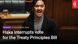 Treaty Principles Bill Haka interrupts vote House suspended by Speaker Gerry Brownlee  RNZ [upl. by Eemla]