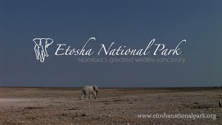 Etosha National Park  Namibia [upl. by Yentruoc]