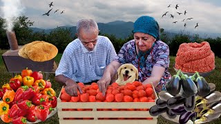 Grandmas Special Wholemeal Bread Recipe  Harvesting Fruits and Vegetables [upl. by Balbinder]