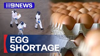 Shoppers urged to not panic buy egg after shortages due to flu outbreak  9 News Australia [upl. by Allsopp469]