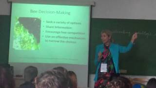 Jane Petring on the skills we can learn from the bees at IATEFL Hungary [upl. by Eidnas]