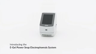 Invitrogen EGel Power Snap System [upl. by Norse]