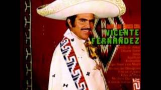 vicente fernandez dejame llorar [upl. by Missak]