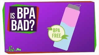 Should I Be Afraid of BPA [upl. by Girand]