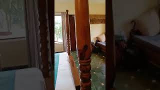 Room Tour  heritage resort coorg [upl. by Mcgrody790]