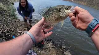 Crappie Bass amp rainbow trout Prineville reservoir [upl. by Atiugal]