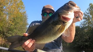 UNREAL Fall Topwater Fishing [upl. by Hairym]