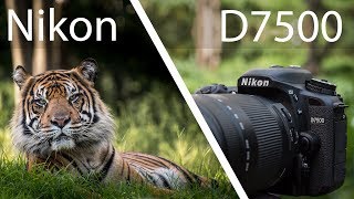 Nikon D7500 Review  Powerful But Not Perfect [upl. by Nohsram]