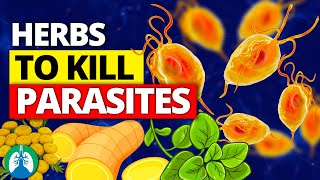 🌱Top 10 Best Herbs for Parasites Natural Detox and Cleanse [upl. by Atinet]