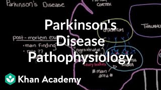 Putting it all together  Pathophysiology of Parkinsons disease  NCLEXRN  Khan Academy [upl. by Redman]