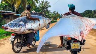 Amazing  Rural idyllic Village Most Satisfying Super Streets Fish markets And Fish Cutting [upl. by Shaya95]