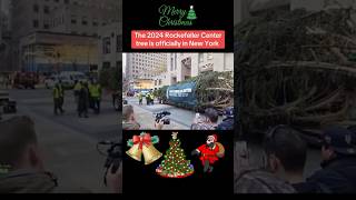 Rockefeller Center Christmas tree 2024 is officially in New York 🎄🗽christmas 2024 shorts [upl. by Christel]