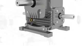 Worm Gearbox Worm Reduction Gear Box Worm Speed Reducer and Gear Motor Manufacturer [upl. by Rafael]